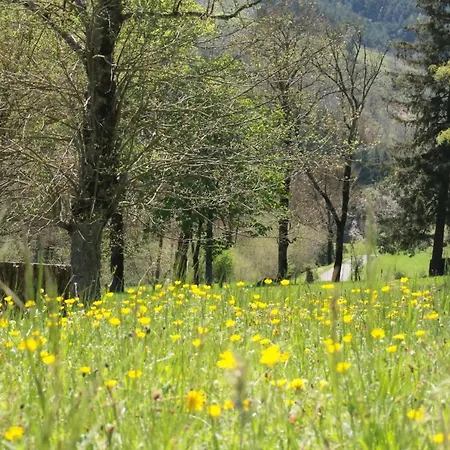 Lou Prat Bed & Breakfast