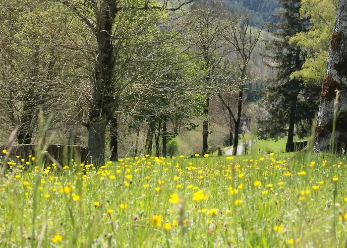 Lou Prat Bed and Breakfast